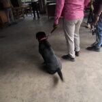 আসানসোল ও দুর্গাপুর আদালতে বোমা হুমকি, স্থগিত বিচারকাজ | তল্লাশিতে পুলিশ ও বোম্ব স্কোয়াড